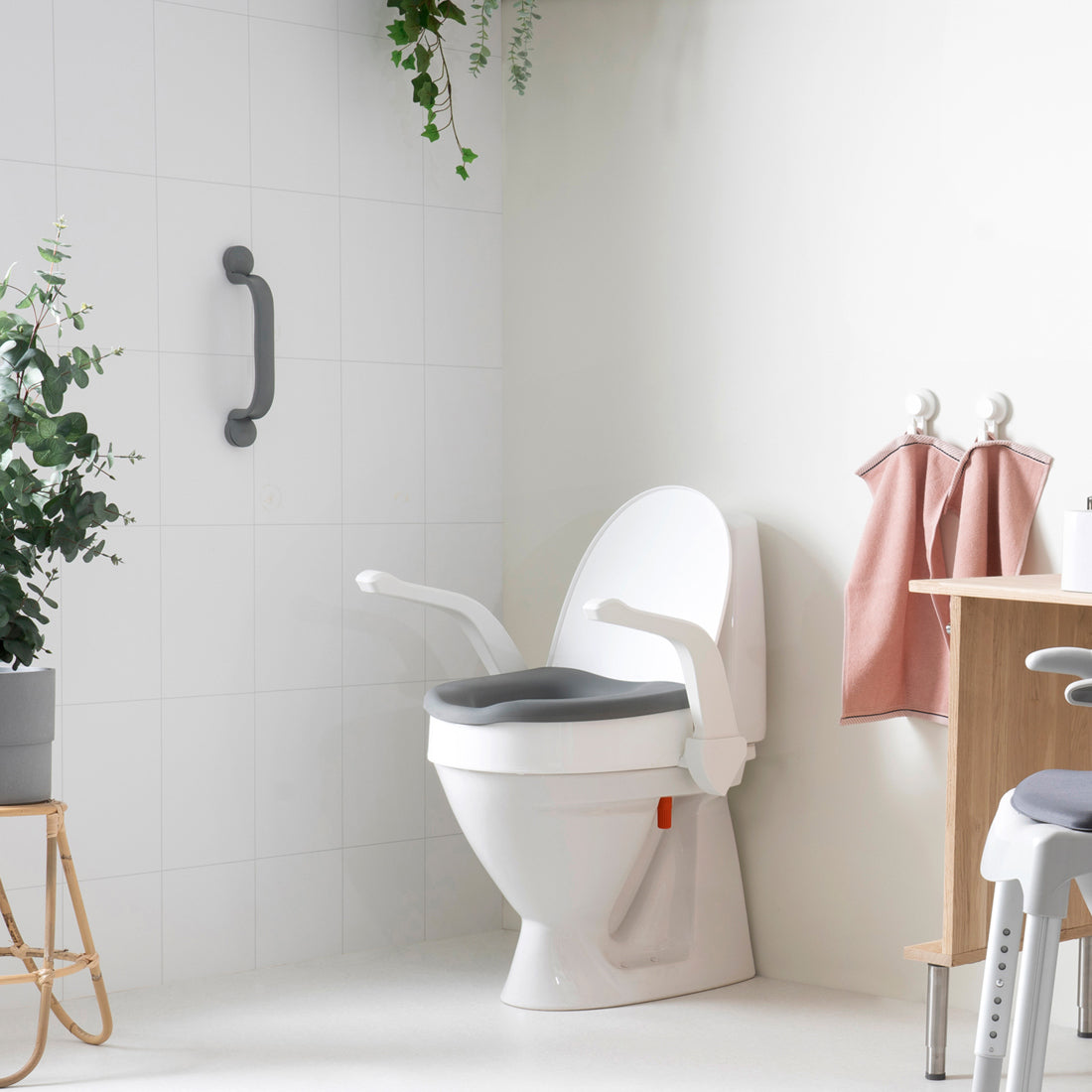 Ayudas para el Baño